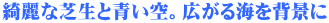 YȎŐƐBLCwi